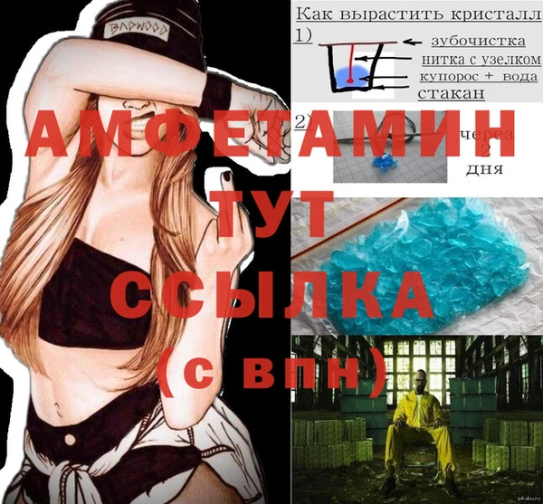 прущие грибы Аркадак