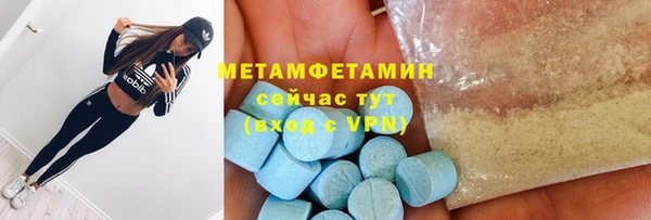 прущие грибы Аркадак