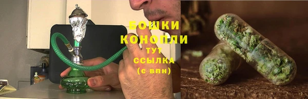 прущие грибы Аркадак