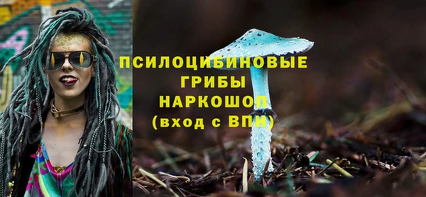 ешки Медвежьегорск