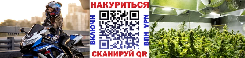 продажа наркотиков mega вход Марихуана индика Мурманск